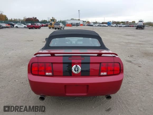 ✅ 2005 Ford Mustang Deluxe • VIN: 1ZVHT84N955258152 • Lot: 43549259. Wystawiony na IAAI z przebiegiem 95 488 mil. Bezpłatny archiwum sprzedaży aukcyjnych z USA i szczegółowy raport historii pojazdu na DreamBid. Zdjęcie 16.