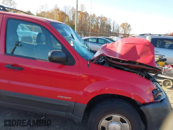 ✅ 2002 Ford Escape XLS Value • VIN: 1FMYU01B72KA52039 • Lot: 43695766. Wystawiony na IAAI z przebiegiem 161 405 mil. Bezpłatny archiwum sprzedaży aukcyjnych z USA i szczegółowy raport historii pojazdu na DreamBid. Zdjęcie 17.