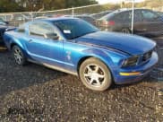 ✅ 2006 Ford Mustang Standard • VIN: 1ZVFT80N065219920 • Lot: 43519119. Wystawiony na IAAI z przebiegiem Nie podano. Bezpłatny archiwum sprzedaży aukcyjnych z USA i szczegółowy raport historii pojazdu na DreamBid. Zdjęcie 1.