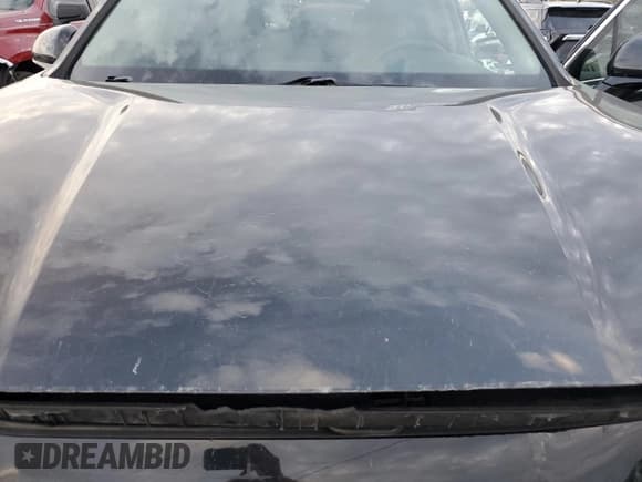 ✅ 2019 Hyundai Santa Fe SEL • VIN: 5NMS33AD0KH006984 • Lot: 77285123. Wystawiony na Copart z przebiegiem 94 164 mil. Bezpłatny archiwum sprzedaży aukcyjnych z USA i szczegółowy raport historii pojazdu na DreamBid. Zdjęcie 13.