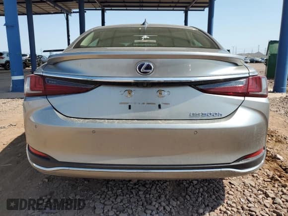 ✅ 2019 Lexus ES 300h Luxury • VIN: JTHB21B11K2038891 • Lot: 64694515. Wystawiony na Copart z przebiegiem 60 465 mil. Bezpłatny archiwum sprzedaży aukcyjnych z USA i szczegółowy raport historii pojazdu na DreamBid. Zdjęcie 6.