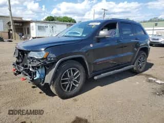 2019 Jeep Grand Cherokee Trailhawk with VIN 1C4RJFLT8KC726784, listed as a Copart auction lot 66010235 with 136,683 mi miles and Salvage title. Bid and sale history available at DreamBid. Image 1.