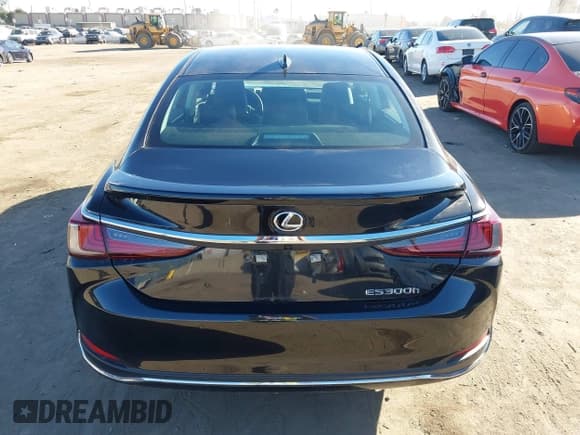 ✅ 2025 Lexus ES 300h • VIN: 58ADA1C19SU073926 • Lot: 43551675. Wystawiony na IAAI z przebiegiem 6 446 mil. Bezpłatny archiwum sprzedaży aukcyjnych z USA i szczegółowy raport historii pojazdu na DreamBid. Zdjęcie 17.