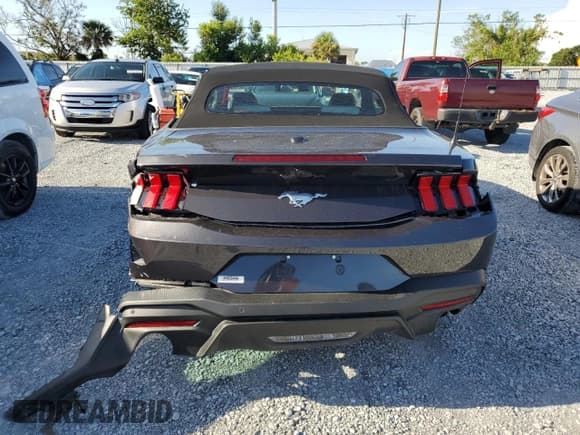 ✅ 2024 Ford Mustang EcoBoost • VIN: 1FAGP8UH7R5119176 • Лот: 64825065. Опубликован ранее на Copart с пробегом 5 716 миль. Бесплатный доступ к архиву аукционных продаж из США и подробный отчёт об истории автомобиля на DreamBid. Изображение 6.
