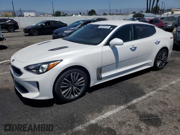 ✅ 2019 Kia Stinger • VIN: KNAE15LA3K6052160 • Lot: 66285435. Wystawiony na Copart z przebiegiem 76 865 mil. Bezpłatny archiwum sprzedaży aukcyjnych z USA i szczegółowy raport historii pojazdu na DreamBid. Zdjęcie 1.