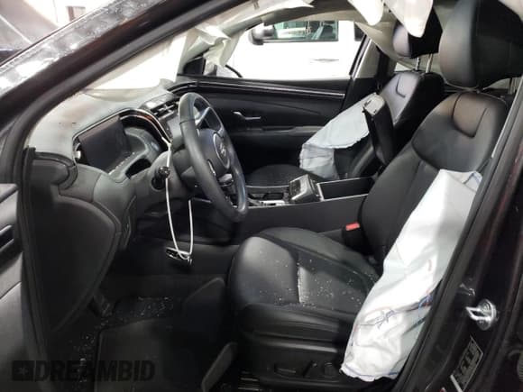 ✅ 2023 Hyundai Tucson SEL • VIN: 5NMJFCAE2PH249036 • Lot: 73329934. Wystawiony na Copart z przebiegiem 25 593 mil. Bezpłatny archiwum sprzedaży aukcyjnych z USA i szczegółowy raport historii pojazdu na DreamBid. Zdjęcie 7.