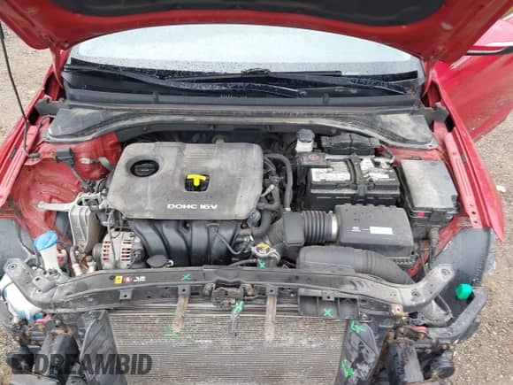 2017 Hyundai Elantra SE z VIN 5NPD84LF0HH033922, wystawiony jako IAAI lot #43495221 z przebiegiem 110 625 mil mil oraz . Historia ofert i sprzedaży dostępna na DreamBid. Obrazek 10.