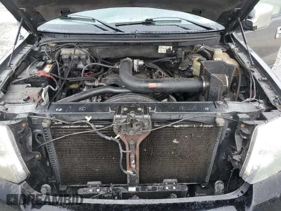 ✅ 2004 Ford F-150 XL • VIN: 1FTRF14574NB38189 • Lot: 48372435. Wystawiony na Copart z przebiegiem 273 991 mil. Bezpłatny archiwum sprzedaży aukcyjnych z USA i szczegółowy raport historii pojazdu na DreamBid. Zdjęcie 11.