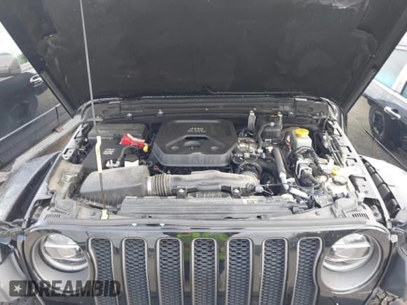 ✅ 2019 Jeep Wrangler Unlimited Rubicon • VIN: 1C4HJXFN7KW681236 • Lot: 43043330. Wystawiony na IAAI z przebiegiem 59 428 mil. Bezpłatny archiwum sprzedaży aukcyjnych z USA i szczegółowy raport historii pojazdu na DreamBid. Zdjęcie 10.