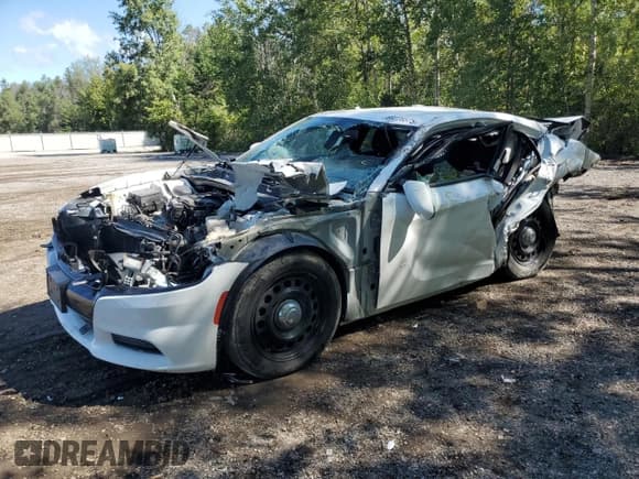 ✅ 2018 Dodge Charger Police • VIN: 2C3CDXKT2JH223739 • Lot: 69226575. Wystawiony na Copart z przebiegiem 88 565 mil. Bezpłatny archiwum sprzedaży aukcyjnych z USA i szczegółowy raport historii pojazdu na DreamBid. Zdjęcie 1.