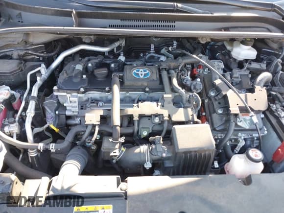 ✅ 2023 Toyota Corolla Hybrid LE • VIN: JTDBCMFE1P3025251 • Lot: 41774234. Wystawiony na IAAI z przebiegiem 52 482 mil. Bezpłatny archiwum sprzedaży aukcyjnych z USA i szczegółowy raport historii pojazdu na DreamBid. Zdjęcie 10.