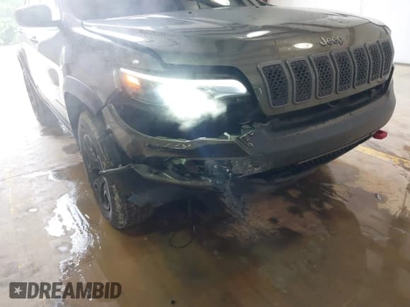 ✅ 2020 Jeep Cherokee Trailhawk Elite • VIN: 1C4PJMBN2LD538076 • Lot: 42219282. Listed on IAAI with 53,773 mi. Free auction sales archive from the USA and detailed vehicle history report at DreamBid. Image 6.