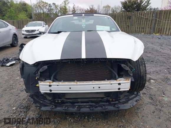 ✅ 2017 Ford Mustang EcoBoost Premium • VIN: 1FATP8UH7H5301411 • Lot: 41971140. Listed on IAAI with 55,176 mi. Free auction sales archive from the USA and detailed vehicle history report at DreamBid. Image 13.