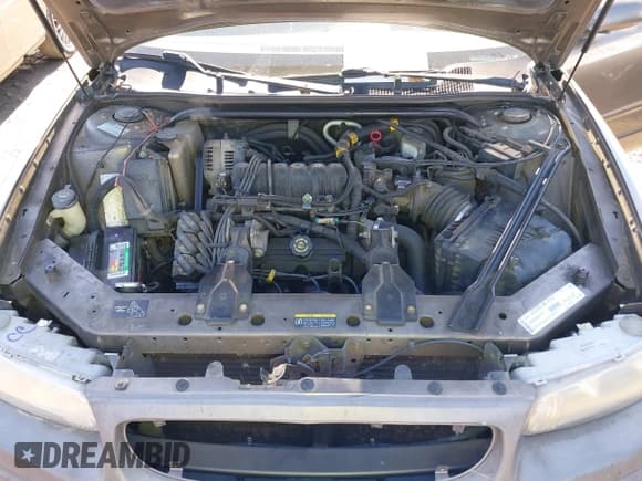 ✅ 2002 Buick Regal LS • VIN: 2G4WB55K021126552 • Lot: 41625744. Listed on IAAI with Not provided. Free auction sales archive from the USA and detailed vehicle history report at DreamBid. Image 10.