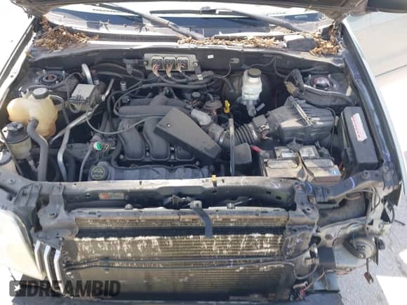 2006 Mercury Mariner Luxury с VIN 4M2CU57196KJ06015, выставлен на аукционе IAAI как лот 42579940 с пробегом 207 529 миль миль и . История ставок и продаж доступна на DreamBid. Изображение 10.