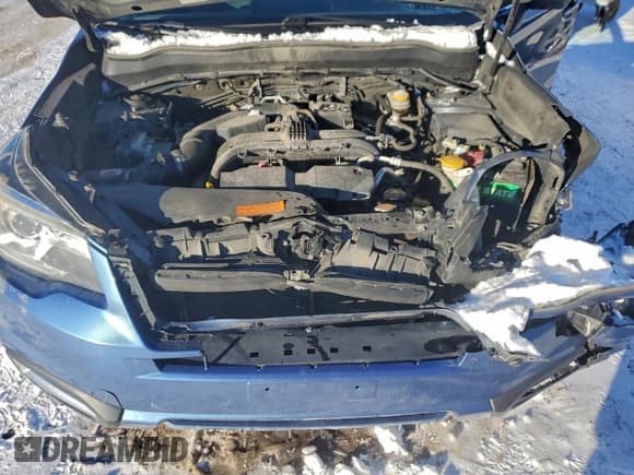 ✅ 2017 Subaru Forester Touring • VIN: JF2SJAWCXHH423938 • Lot: 95408875. Listed on Copart with 219,939 mi. Free auction sales archive from the USA and detailed vehicle history report at DreamBid. Image 12.