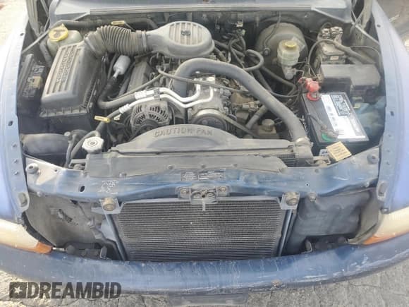 ✅ 1999 Dodge Durango • VIN: 1B4HR28Z8XF617769 • Lot: 79356264. Wystawiony na Copart z przebiegiem 150 850 mil. Bezpłatny archiwum sprzedaży aukcyjnych z USA i szczegółowy raport historii pojazdu na DreamBid. Zdjęcie 12.