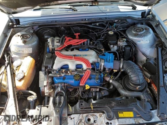 ✅ 1996 Oldsmobile Cutlass Ciera 1SA VX5 • VIN: 1G3AJ55M3T6326130 • Lot: 73877264. Wystawiony na Copart z przebiegiem 74 073 mil. Bezpłatny archiwum sprzedaży aukcyjnych z USA i szczegółowy raport historii pojazdu na DreamBid. Zdjęcie 11.