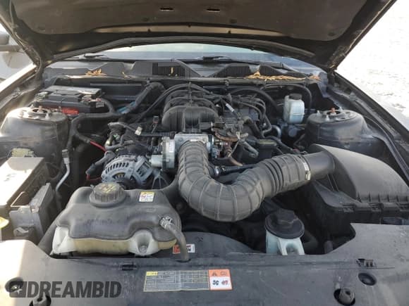 ✅ 2010 Ford Mustang V6 • VIN: 1ZVBP8EN3A5175481 • Лот: 86224565. Опубликован ранее на Copart с пробегом Не указан. Бесплатный доступ к архиву аукционных продаж из США и подробный отчёт об истории автомобиля на DreamBid. Изображение 11.