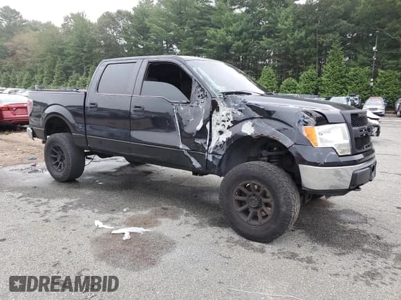✅ 2010 Ford F-150 XL • VIN: 1FTEW1E89AFC53521 • Lot: 80099605. Wystawiony na Copart z przebiegiem Nie podano. Bezpłatny archiwum sprzedaży aukcyjnych z USA i szczegółowy raport historii pojazdu na DreamBid. Zdjęcie 4.