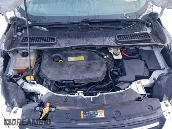 ✅ 2013 Ford Escape SE • VIN: 1FMCU9GX8DUC37466 • Lot: 95010705. Wystawiony na Copart z przebiegiem 136 157 mil. Bezpłatny archiwum sprzedaży aukcyjnych z USA i szczegółowy raport historii pojazdu na DreamBid. Zdjęcie 12.