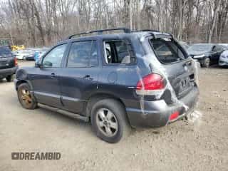 2005 Hyundai Santa Fe GLS с VIN KM8SC73D85U890007, выставлен на аукционе Copart как лот 46231695 с пробегом Не указан миль и Списание • Salvage title. История ставок и продаж доступна на DreamBid. Изображение 2.