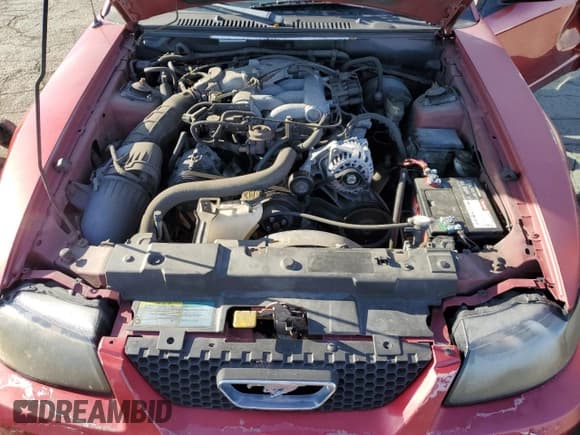 ✅ 2004 Ford Mustang Deluxe • VIN: 1FAFP44604F242565 • Lot: 49583155. Listed on Copart with Not provided. Free auction sales archive from the USA and detailed vehicle history report at DreamBid. Image 12.
