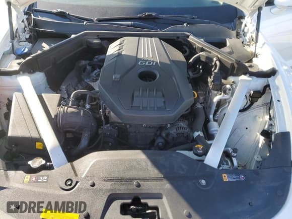 ✅ 2018 Kia Stinger Premium • VIN: KNAE25LA8J6033664 • Lot: 89204695. Listed on Copart with 75,691 mi. Free auction sales archive from the USA and detailed vehicle history report at DreamBid. Image 11.