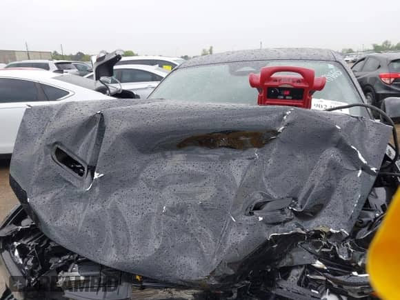 2024 Dodge Hornet R/T z VIN ZACPDFCWXR3A07770, wystawiony jako IAAI lot #41902494 z przebiegiem 8 208 mil mil oraz . Historia ofert i sprzedaży dostępna na DreamBid. Obrazek 10.