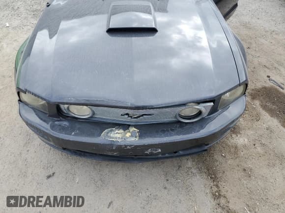 ✅ 2007 Ford Mustang GT Deluxe • VIN: 1ZVHT82H175325343 • Lot: 92037125. Listed on Copart with 198,721 mi. Free auction sales archive from the USA and detailed vehicle history report at DreamBid. Image 11.