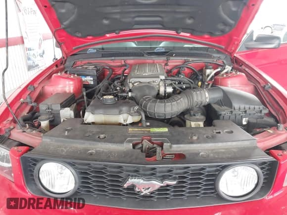 ✅ 2009 Ford Mustang GT • VIN: 1ZVHT82H895117740 • Лот: 42685840. Опубликован ранее на IAAI с пробегом 163 013 миль. Бесплатный доступ к архиву аукционных продаж из США и подробный отчёт об истории автомобиля на DreamBid. Изображение 10.