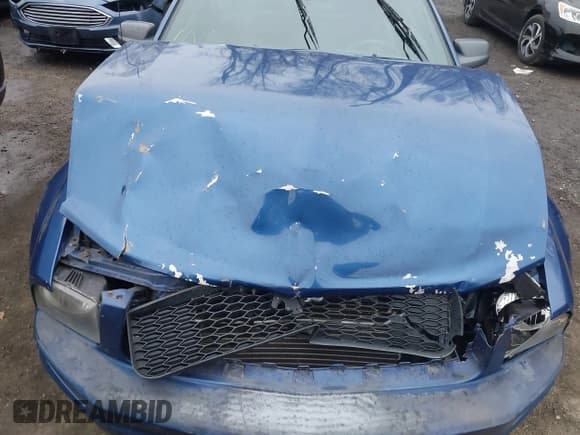 ✅ 2009 Ford Mustang • VIN: 1ZVHT80N995144826 • Lot: 43756704. Listed on IAAI with 89,394 mi. Free auction sales archive from the USA and detailed vehicle history report at DreamBid. Image 10.