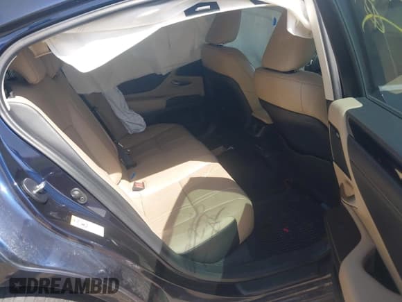 ✅ 2019 Lexus ES 350 • VIN: 58ABZ1B12KU022530 • Lot: 42099115. Wystawiony na IAAI z przebiegiem 54 682 mil. Bezpłatny archiwum sprzedaży aukcyjnych z USA i szczegółowy raport historii pojazdu na DreamBid. Zdjęcie 8.