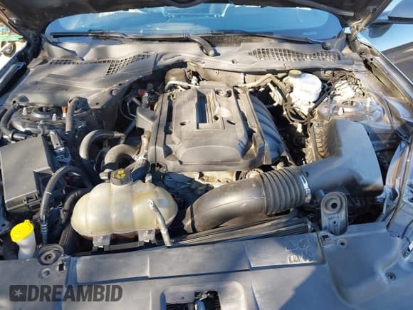 ✅ 2019 Ford Mustang EcoBoost • VIN: 1FA6P8TH3K5203479 • Lot: 43652014. Wystawiony na IAAI z przebiegiem 70 857 mil. Bezpłatny archiwum sprzedaży aukcyjnych z USA i szczegółowy raport historii pojazdu na DreamBid. Zdjęcie 10.