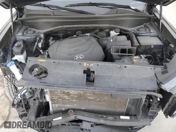 ✅ 2020 Hyundai Palisade Limited • VIN: KM8R5DHE7LU048846 • Лот: 78579994. Опубликован ранее на Copart с пробегом 67 060 миль. Бесплатный доступ к архиву аукционных продаж из США и подробный отчёт об истории автомобиля на DreamBid. Изображение 13.