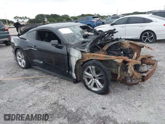 ✅ 2022 Ford Mustang GT • VIN: 1FA6P8CF2N5121567 • Lot: 41609942. Listed on IAAI with Not provided. Free auction sales archive from the USA and detailed vehicle history report at DreamBid. Image 1.