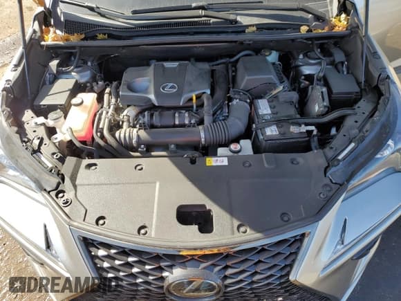 ✅ 2018 Lexus NX 300 • VIN: JTJBARBZ8J2175024 • Lot: 44782455. Listed on Copart with 33,316 mi. Free auction sales archive from the USA and detailed vehicle history report at DreamBid. Image 12.