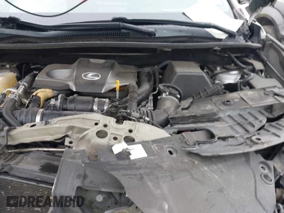 ✅ 2016 Lexus NX F Sport • VIN: JTJYARBZ5G2029862 • Lot: 43530134. Listed on IAAI with 107,307 mi. Free auction sales archive from the USA and detailed vehicle history report at DreamBid. Image 10.