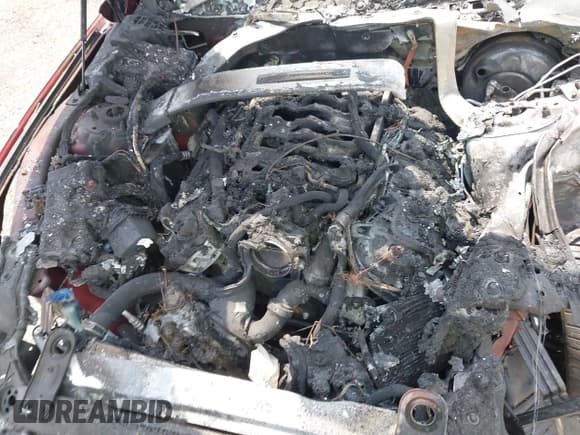 ✅ 2019 Ford Mustang Shelby GT350 • VIN: 1FA6P8JZ6K5553023 • Лот: 42943267. Опубликован ранее на IAAI с пробегом 31 950 миль. Бесплатный доступ к архиву аукционных продаж из США и подробный отчёт об истории автомобиля на DreamBid. Изображение 10.