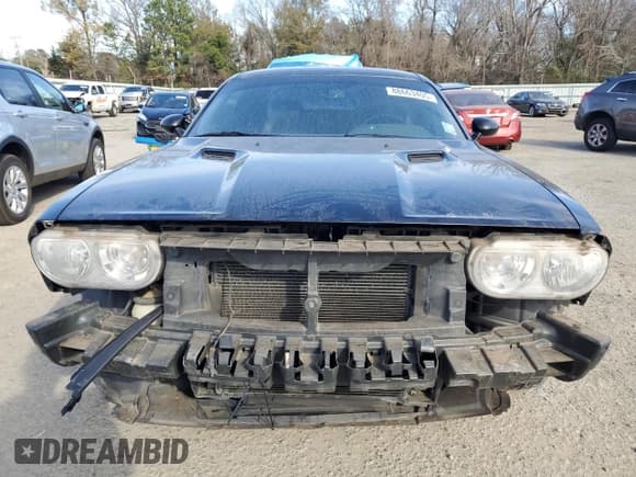 ✅ 2009 Dodge Challenger R/T • VIN: 2B3LJ54TX9H520339 • Lot: 88663405. Wystawiony na Copart z przebiegiem 166 235 mil. Bezpłatny archiwum sprzedaży aukcyjnych z USA i szczegółowy raport historii pojazdu na DreamBid. Zdjęcie 5.