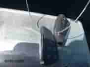 2025 Chevrolet Equinox FWD LT с VIN 3GNAXHEG7SL210645, выставлен на аукционе IAAI как лот 42452366 с пробегом 12 468 миль миль и . История ставок и продаж доступна на DreamBid. Изображение 11.