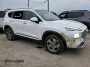 ✅ 2021 Hyundai Santa Fe SEL • VIN: 5NMS3DAJXMH319037 • Lot: 37405434. Wystawiony na Copart z przebiegiem 61 245 mil. Bezpłatny archiwum sprzedaży aukcyjnych z USA i szczegółowy raport historii pojazdu na DreamBid. Zdjęcie 4.