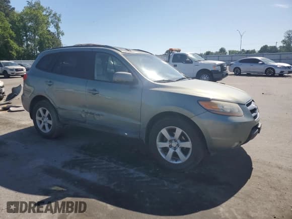 ✅ 2009 Hyundai Santa Fe SE • VIN: 5NMSH13EX9H300852 • Lot: 54842715. Listed on Copart with 179,228 mi. Free auction sales archive from the USA and detailed vehicle history report at DreamBid. Image 4.