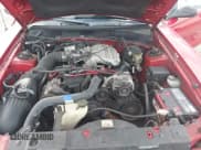 ✅ 1998 Ford Mustang • VIN: 1FAFP444XWF192162 • Lot: 43789183. Listed on IAAI with 119,226 mi. Free auction sales archive from the USA and detailed vehicle history report at DreamBid. Image 10.