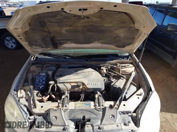 2009 Chevrolet Impala LT z VIN 2G1WT57K091226152, wystawiony jako IAAI lot #43498643 z przebiegiem 140 827 mil mil oraz . Historia ofert i sprzedaży dostępna na DreamBid. Obrazek 10.