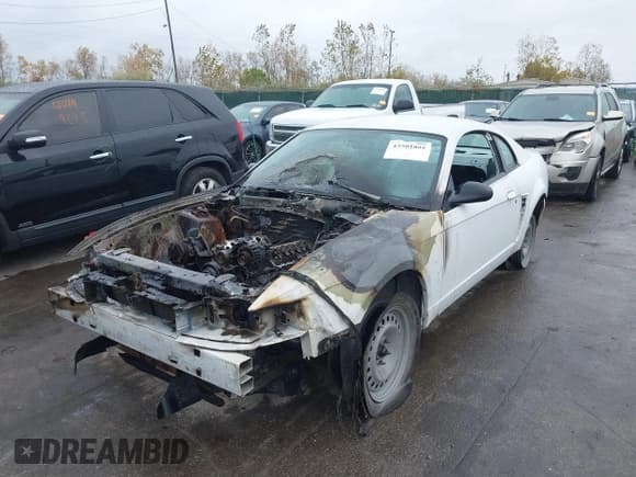 ✅ 2004 Ford Mustang Standard • VIN: 1FAFP40464F125870 • Lot: 43501805. Listed on IAAI with Not provided. Free auction sales archive from the USA and detailed vehicle history report at DreamBid. Image 2.