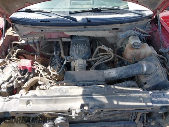 ✅ 2013 Ford F-150 XL • VIN: 1FTFW1EF2DFB60198 • Lot: 42543176. Wystawiony na IAAI z przebiegiem 211 967 mil. Bezpłatny archiwum sprzedaży aukcyjnych z USA i szczegółowy raport historii pojazdu na DreamBid. Zdjęcie 10.