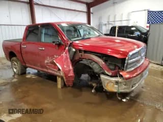 ✅ 2010 Dodge 1500 ST • VIN: 1D7RV1CTXAS146907 • Lot: 43794395. Wystawiony na Copart z przebiegiem 221 231 mil. Bezpłatny archiwum sprzedaży aukcyjnych z USA i szczegółowy raport historii pojazdu na DreamBid. Zdjęcie 4.