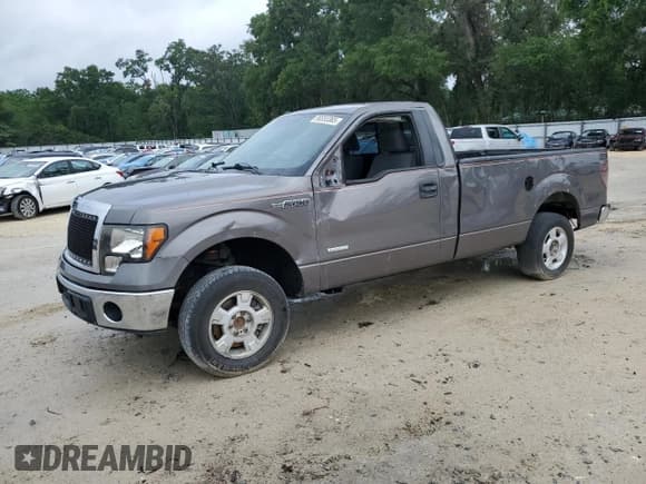 ✅ 2011 Ford F-150 XL • VIN: 1FTNF1CT3BKE21170 • Lot: 56555365. Wystawiony na Copart z przebiegiem 207 119 mil. Bezpłatny archiwum sprzedaży aukcyjnych z USA i szczegółowy raport historii pojazdu na DreamBid. Zdjęcie 1.