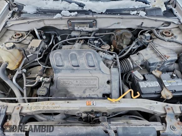 ✅ 2003 Ford Escape XLT Popular 2 • VIN: 1FMYU93133KB85553 • Lot: 95891575. Listed on Copart with 130,488 mi. Free auction sales archive from the USA and detailed vehicle history report at DreamBid. Image 12.